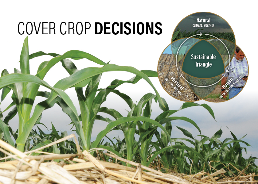 Cover Crop Decisions Thorough Planning Increases The Odds For Success   Sustainable Triangle   Cover Crop Decisions 